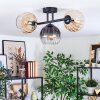 Koyoto Plafondlamp, Kogellampje Amber, Duidelijk, Rookkleurig, 3-lichts