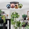 Koyoto Plafondlamp, Kogellampje Blauw, Goud, Groen, Koperkleurig, 4-lichts