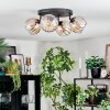 Koyoto Plafondlamp, Kogellampje Amber, Duidelijk, 4-lichts