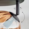 Koyoto Plafondlamp, Kogellampje Amber, Duidelijk, 4-lichts