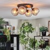 Koyoto Plafondlamp, Kogellampje Amber, Duidelijk, 4-lichts