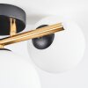 Chehalis Plafondlamp, Kogellampje Goud, Zwart, 3-lichts