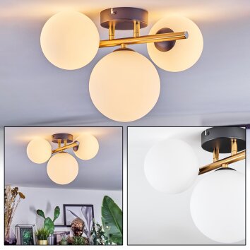 Chehalis Plafondlamp, Kogellampje Goud, Zwart, 3-lichts