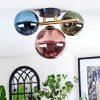 Chehalis Plafondlamp, Kogellampje Goud, Zwart, 3-lichts