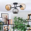 Ripoll Plafondlamp, Kogellampje Amber, Rookkleurig, 3-lichts