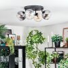 Koyoto Plafondlamp, Kogellampje Amber, Duidelijk, Rookkleurig, 4-lichts