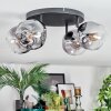 Ripoll Plafondlamp, Kogellampje Duidelijk, Rookkleurig, 4-lichts