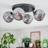Ripoll Plafondlamp, Kogellampje Rookkleurig, 4-lichts