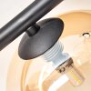 Chehalis Plafondlamp, Kogellampje Amber, Duidelijk, 4-lichts