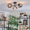 Ripoll Plafondlamp, Kogellampje Chroom, Duidelijk, Rookkleurig, 3-lichts
