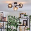 Ripoll Plafondlamp, Kogellampje Duidelijk, Rookkleurig, 3-lichts