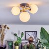 Chehalis Plafondlamp, Kogellampje Goud, Zwart, 3-lichts