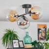 Gastor Plafondlamp, Kogellampje Amber, Duidelijk, Rookkleurig, 3-lichts