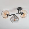 Koyoto Plafondlamp, Kogellampje Amber, Duidelijk, Rookkleurig, 3-lichts