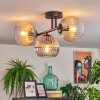Koyoto Plafondlamp, Kogellampje Amber, Duidelijk, Rookkleurig, 3-lichts