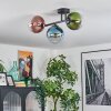 Gastor Plafondlamp, Kogellampje Blauw, Groen, Duidelijk, Koperkleurig, 3-lichts