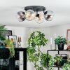 Koyoto Plafondlamp, Kogellampje Amber, Duidelijk, Rookkleurig, 4-lichts
