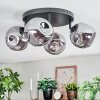 Ripoll Plafondlamp, Kogellampje Rookkleurig, 4-lichts