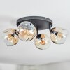 Ripoll Plafondlamp, Kogellampje Amber, Duidelijk, 4-lichts