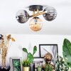 Chehalis Plafondlamp, Kogellampje Goud, Zwart, 3-lichts