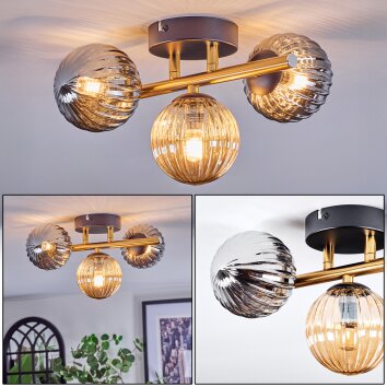 Chehalis Plafondlamp, Kogellampje Goud, Zwart, 3-lichts