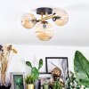 Chehalis Plafondlamp, Kogellampje Goud, Zwart, 3-lichts