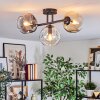 Ripoll Plafondlamp, Kogellampje Amber, Duidelijk, Rookkleurig, 3-lichts