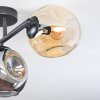 Ripoll Plafondlamp, Kogellampje Amber, Rookkleurig, 3-lichts