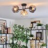 Ripoll Plafondlamp, Kogellampje Amber, Duidelijk, Rookkleurig, 3-lichts