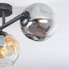 Ripoll Plafondlamp, Kogellampje Amber, Duidelijk, Rookkleurig, 3-lichts
