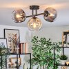 Ripoll Plafondlamp, Kogellampje Amber, Duidelijk, Rookkleurig, 3-lichts