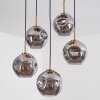 Ripoll Hanglamp, Kogellampje, Hanglamp Goud, Zwart, 5-lichts