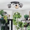 Ripoll Plafondlamp, Kogellampje Amber, Duidelijk, Rookkleurig, 4-lichts