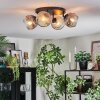 Ripoll Plafondlamp, Kogellampje Amber, Duidelijk, Rookkleurig, 4-lichts