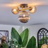 Chehalis Plafondlamp, Kogellampje Goud, Zwart, 3-lichts