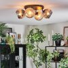 Ripoll Plafondlamp, Kogellampje Amber, Rookkleurig, 4-lichts