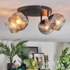 Ripoll Plafondlamp, Kogellampje Duidelijk, Rookkleurig, 4-lichts