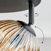 Ripoll Plafondlamp, Kogellampje Amber, Duidelijk, 4-lichts