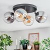 Gastor Plafondlamp, Kogellampje Amber, Duidelijk, Rookkleurig, 4-lichts