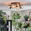 Gastor Plafondlamp, Kogellampje Amber, Duidelijk, Rookkleurig, 4-lichts