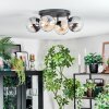 Gastor Plafondlamp, Kogellampje Amber, Duidelijk, Rookkleurig, 4-lichts