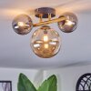 Chehalis Plafondlamp, Kogellampje Goud, Zwart, 3-lichts