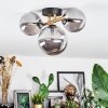 Chehalis Plafondlamp, Kogellampje Goud, Zwart, 3-lichts