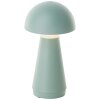 Paddenstoel look  Briljante lampen Navabi Tafellamp LED Groen, 1-licht