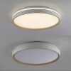 Paul Neuhaus Verlichting MIO Plafondlamp LED Zandkleurig, 1-licht, Afstandsbediening