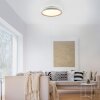 Paul Neuhaus Verlichting MIO Plafondlamp LED Zandkleurig, 1-licht, Afstandsbediening