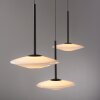Paul Neuhaus Verlichting ELIPSA Hanglamp LED Zwart, 3-lichts
