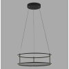 Paul Neuhaus Verlichting CONNI Hanglamp LED Zwart, 2-lichts