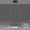 Paul Neuhaus Verlichting CONNI Hanglamp LED Zwart, 2-lichts