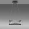 Paul Neuhaus Verlichting CONNI Hanglamp LED Zwart, 2-lichts